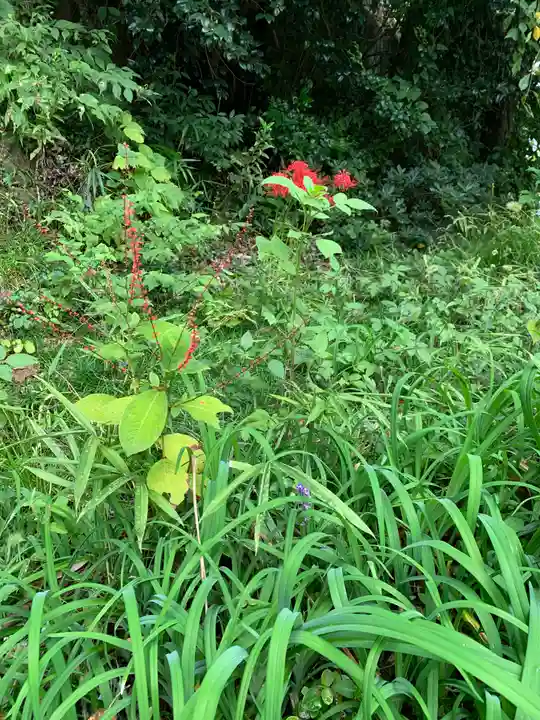 立鉾鹿島神社の自然