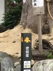 春ノ木神明社の建物その他