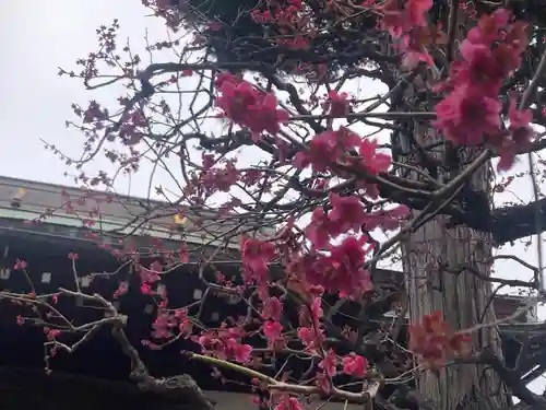 東覺院(東京都)