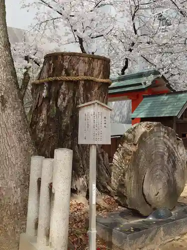 生田神社(兵庫県)