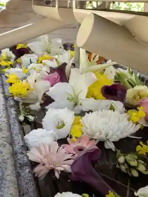 鳩森八幡神社の手水舎