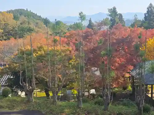 長安寺(京都府)