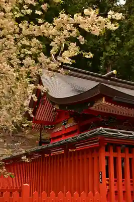 金櫻神社(山梨県)
