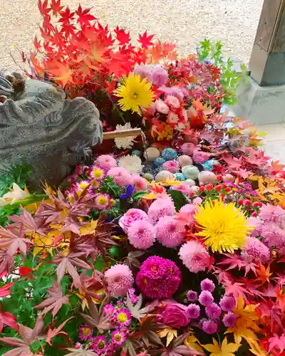 滑川神社 - 仕事と子どもの守り神の手水舎