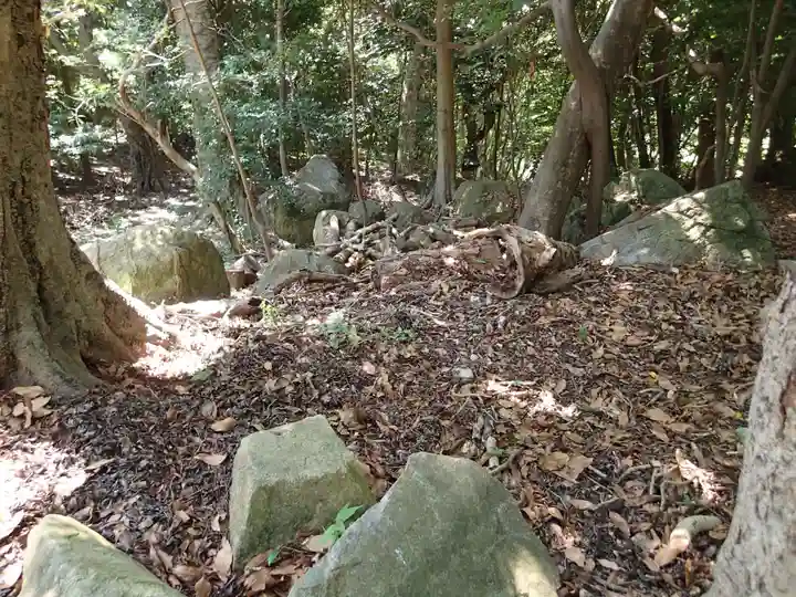 保久良神社の自然