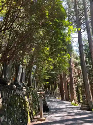 三峯神社(埼玉県)