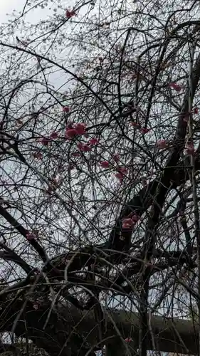 大豊神社(京都府)