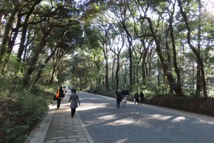 明治神宮(東京都)