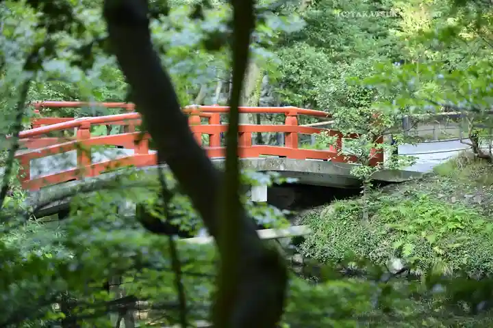 鶴岡八幡宮(神奈川県)