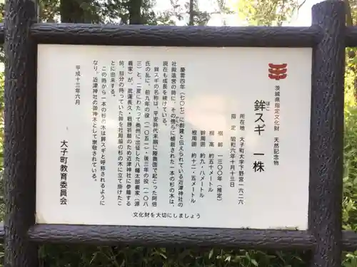 近津神社の歴史