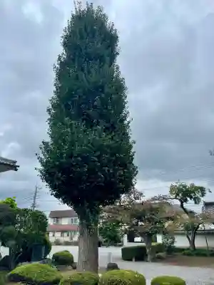 光了寺(茨城県)