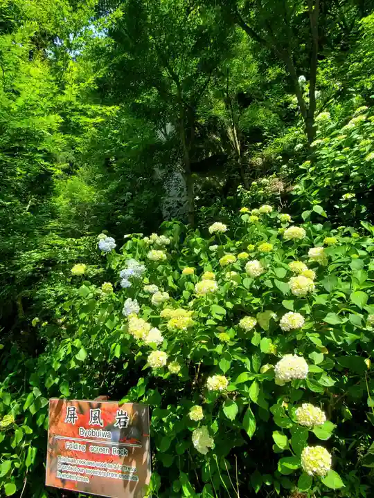 石都々古和気神社の自然