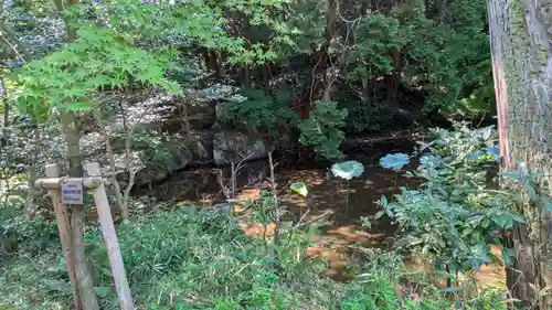 龍潭寺(京都府)