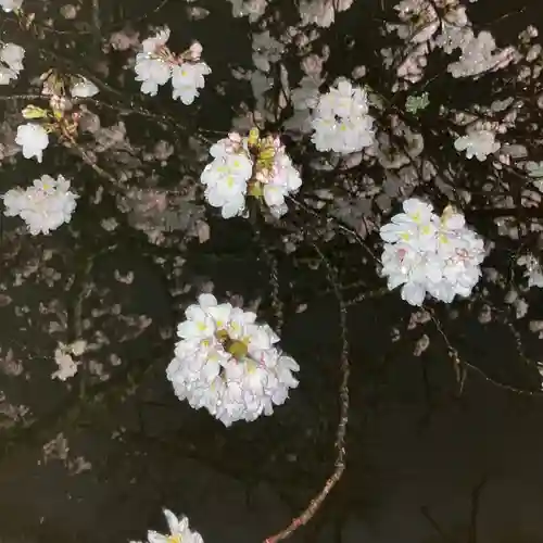 富士山本宮浅間大社(静岡県)