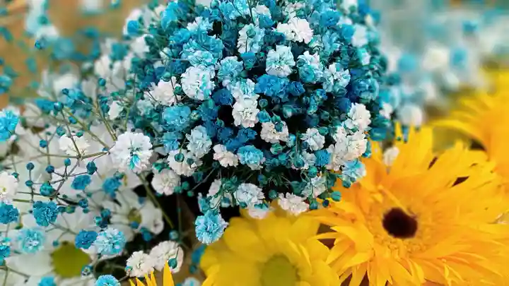 阿邪訶根神社の手水舎