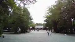 北海道神宮の建物その他