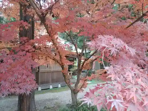 光丸山 法輪寺(栃木県)
