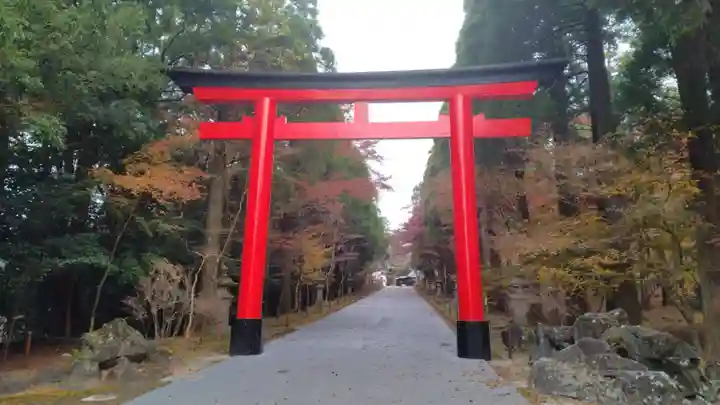 霧島神宮(鹿児島県)