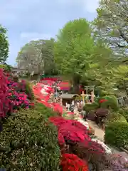 根津神社の庭園