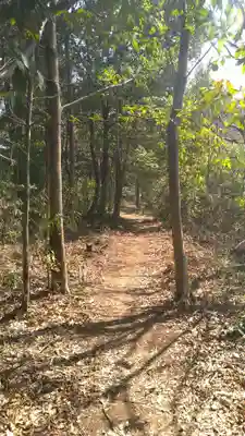賀茂別雷神社の周辺