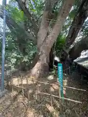 御津神社(愛知県)