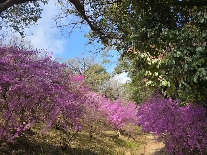 伊和志豆神社(兵庫県)