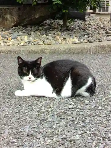 白金氷川神社(東京都)