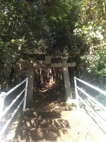 金色妙見宮の鳥居