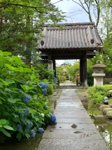 保寧寺の山門