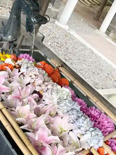 江南神社の手水