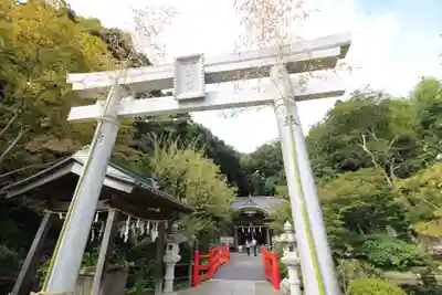 貫井神社の鳥居