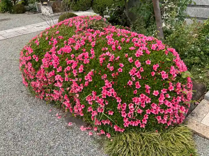 龍像寺(神奈川県)