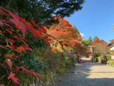 白山神社(長滝神社・白山長瀧神社・長滝白山神社)のその他建物