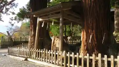 仁科神明宮の神楽