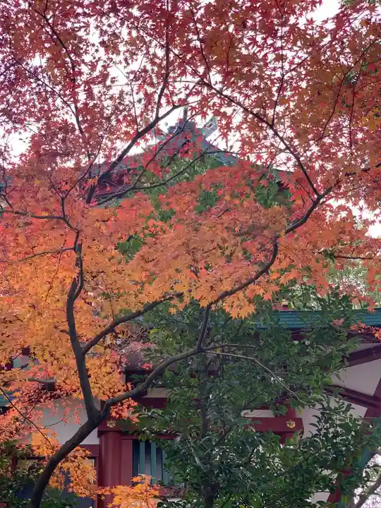 多摩川浅間神社の自然