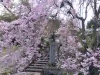 福徳寺(京都府)