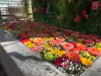 金蛇水神社(宮城県)