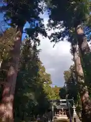 荒橿神社の建物その他