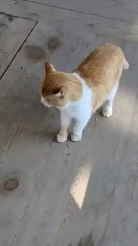 智恩寺(京都府)