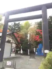 千歳神社の鳥居