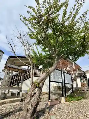 出雲大社函館教会の{uncategorized: "未分類", other: "その他", undefined: "問題あり", building: "その他建物", grave: "お墓", sacred_gate: "鳥居", guardian: "狛犬", statue: "像", buddha: "仏像", history: "歴史", nature: "自然", garden: "庭園", animal: "動物", pagoda: "塔", temizu: "手水舎", mountain_gate: "山門・神門", sanctuary: "本殿・本堂", subordinate: "末社・摂社", art: "芸術", scenery: "景色", jizo: "地蔵", ema: "絵馬", goshuin: "御朱印", omikuji: "おみくじ", items: "授与品その他", amulet: "お守り", goshuincho: "御朱印帳", eats: "食事", festival: "お祭り", votive_dance: "神楽", shichigosan: "七五三参", wedding: "結婚式", experience: "体験その他", initially: "初詣", around: "周辺", anti_infection: "感染症対策"}