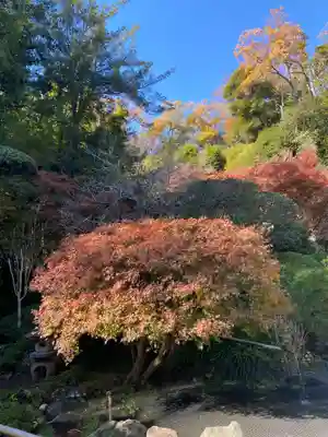 報国寺(神奈川県)