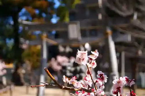浅間神社(埼玉県)