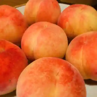 滑川神社 - 仕事と子どもの守り神の食事