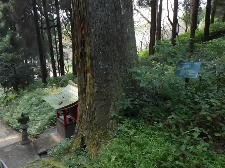 住吉神社の自然