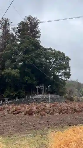 八幡神社(三重県)