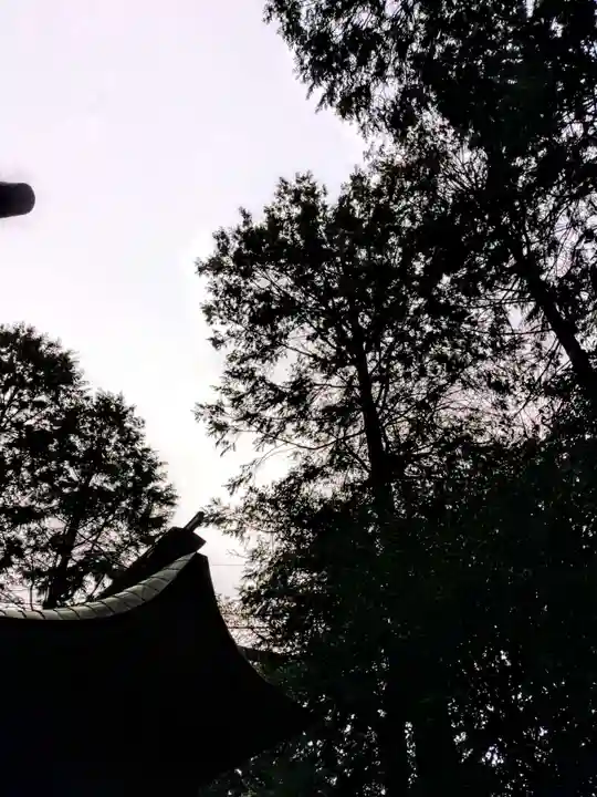 八幡神社のその他建物