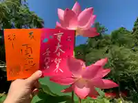 普門寺(切り絵御朱印発祥の寺)の御朱印