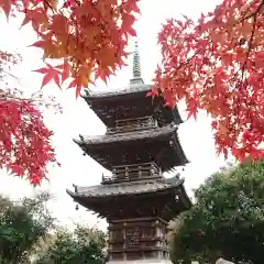 徳正寺の建物その他