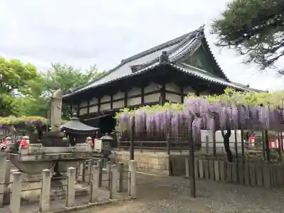 葛井寺のその他建物